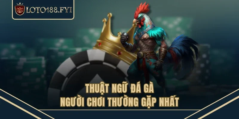 Thuật ngữ đá gà người chơi thường gặp nhất